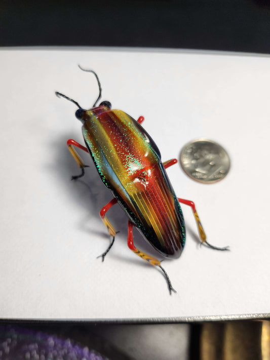 Vetropod Red Striped Jewel Beetle