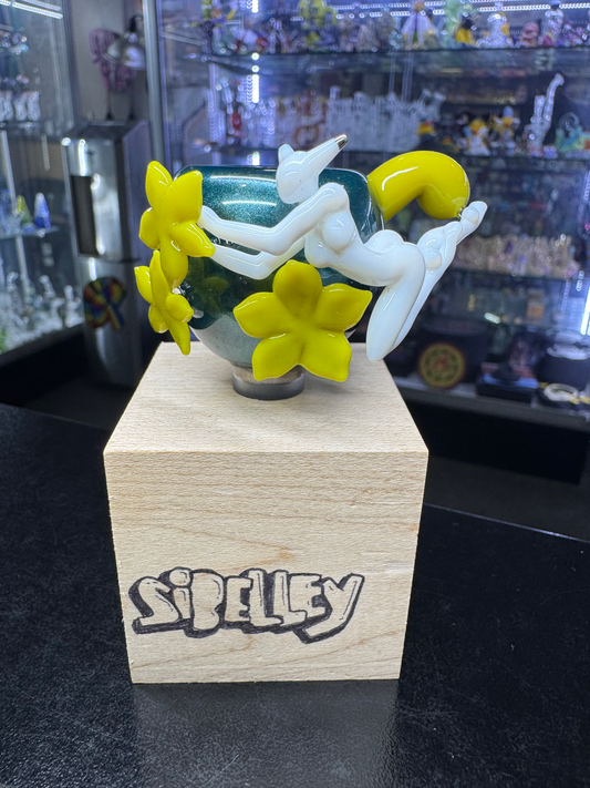 Sibelley 14mm 1 - hole slide show