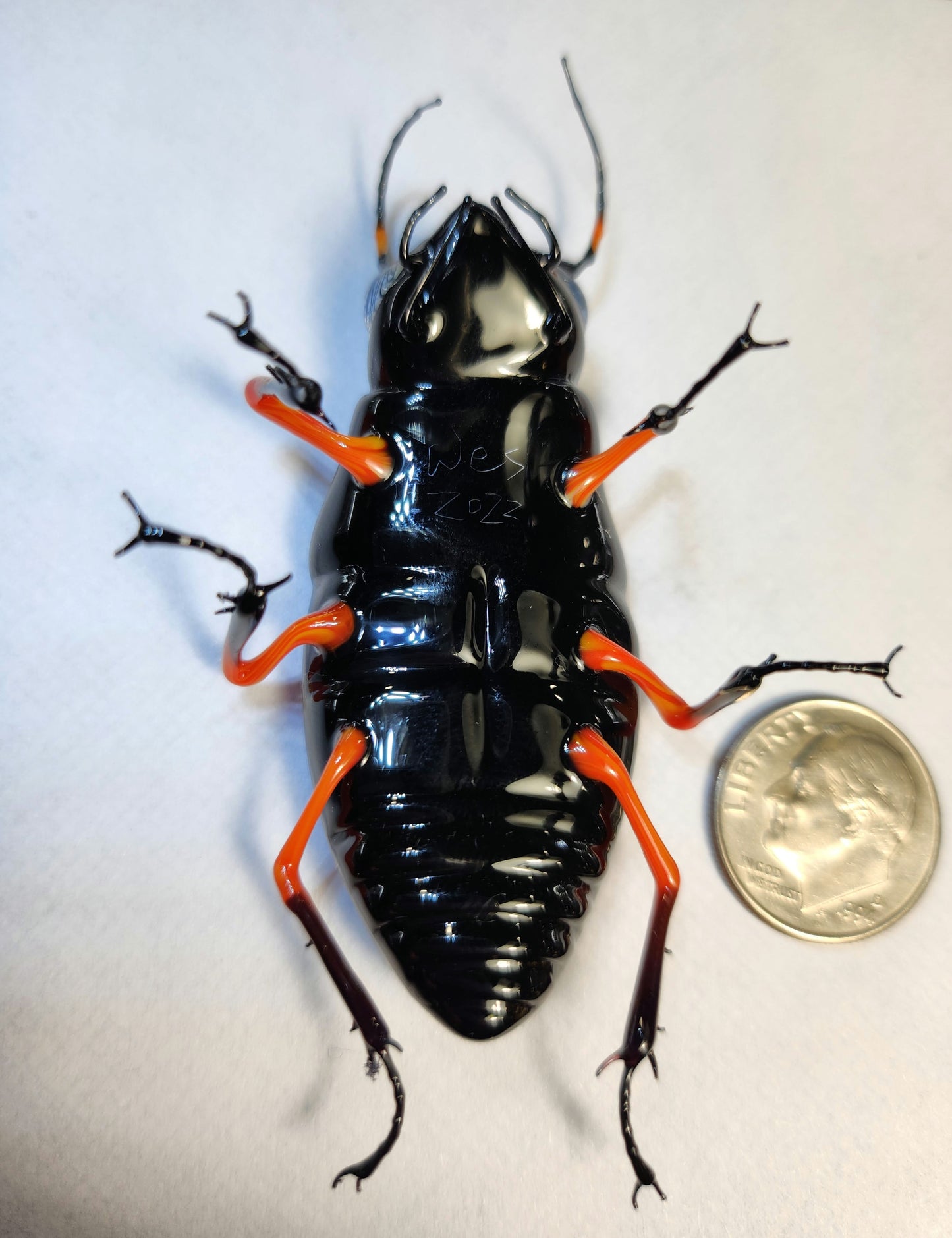 Vetropod Night and Day Jewel Beetle