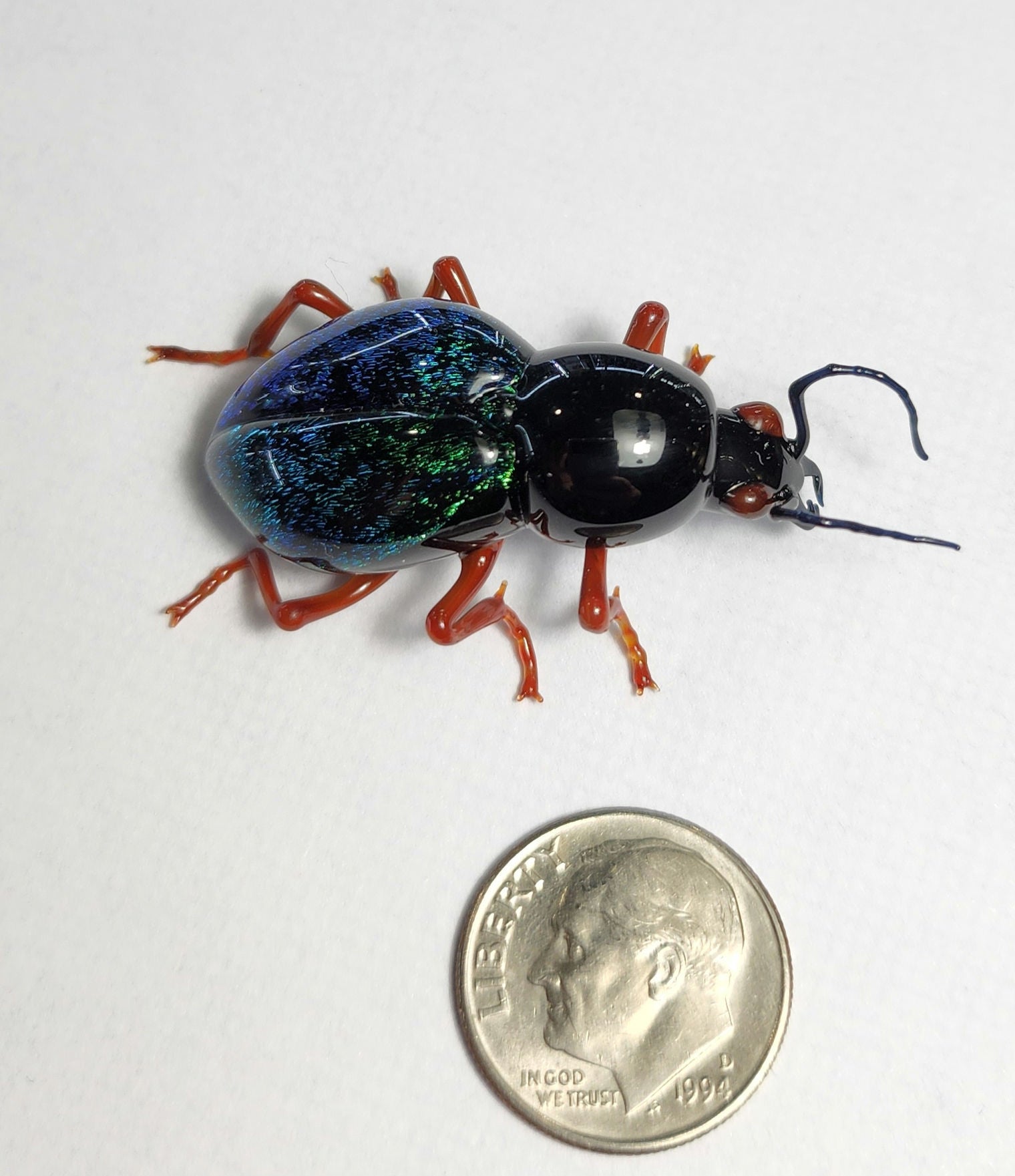 Vetropod Emerald Tiger Beetle