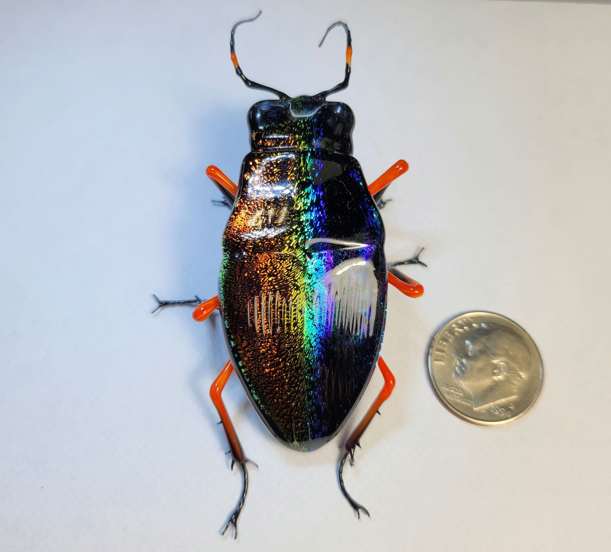 Vetropod Night and Day Jewel Beetle