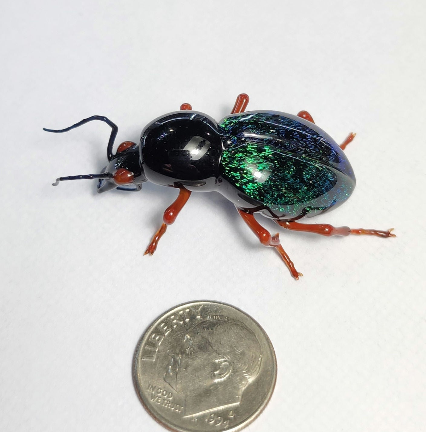 Vetropod Emerald Tiger Beetle
