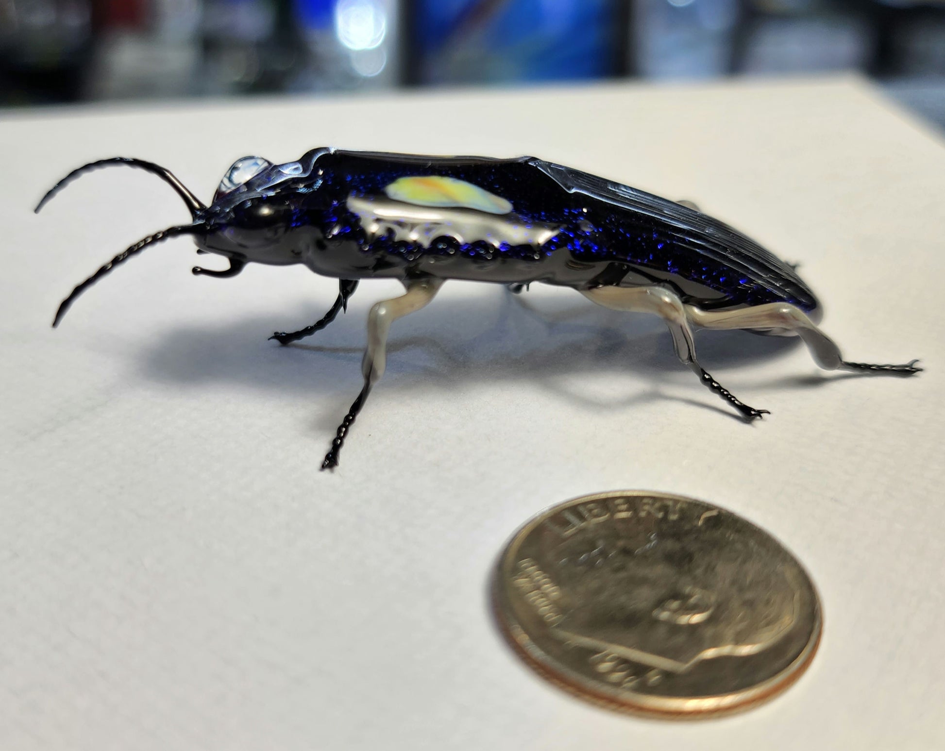 Vetropod Sapphire Jewel Beetle