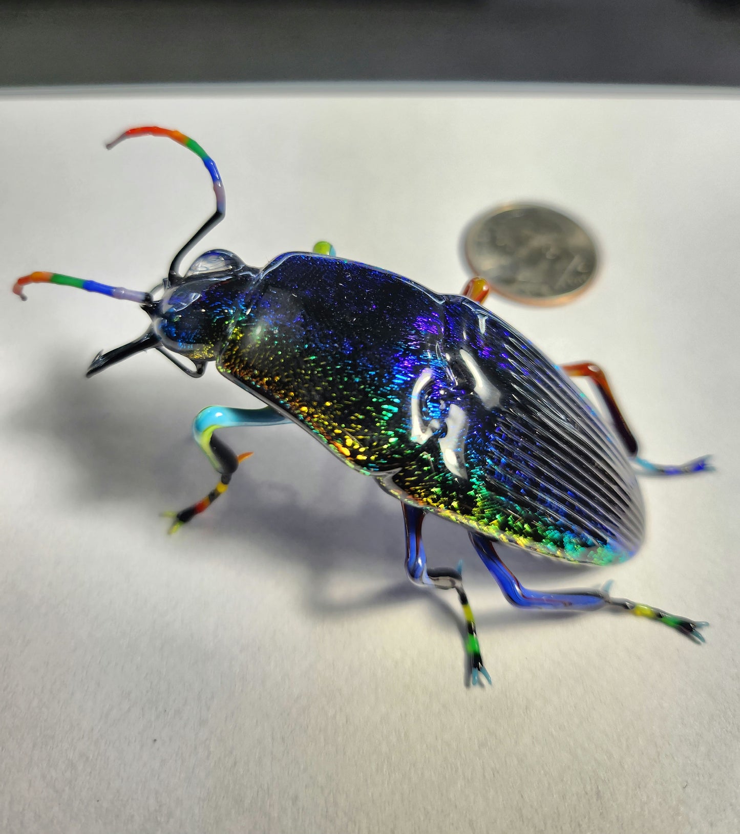 Vetropod Rainbow Jewel Beetle