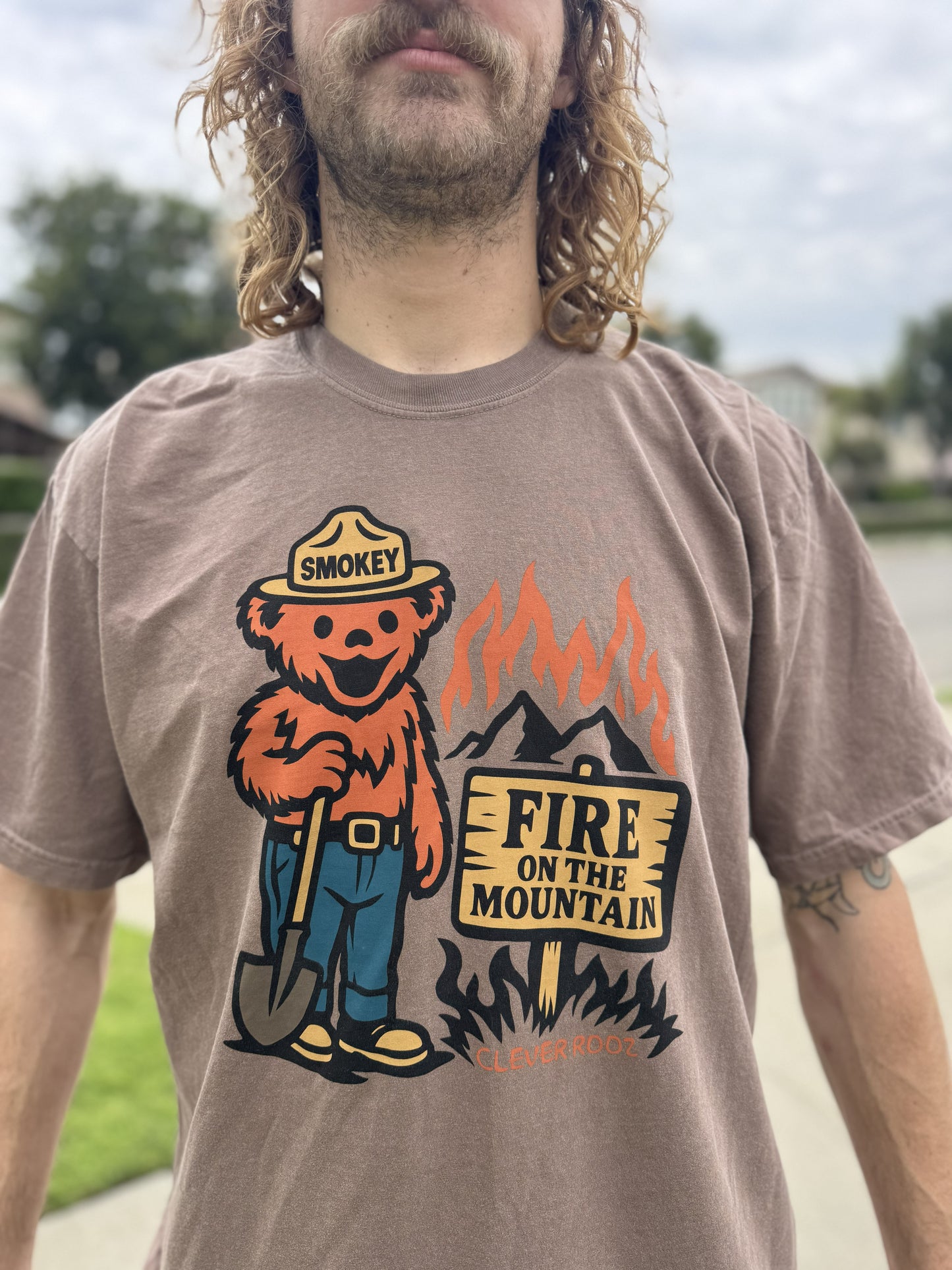 Smokey Fire on the Mountain Tee Shirt Clever Rooz