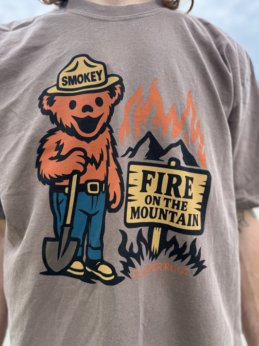 Smokey Fire on the Mountain Tee Shirt Clever Rooz